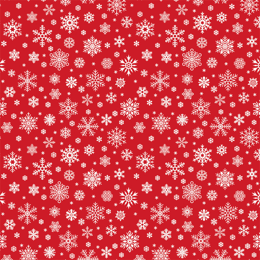 SILENT SNOWFALL - 12x12 Double-Sided Patterned Paper - Echo Park