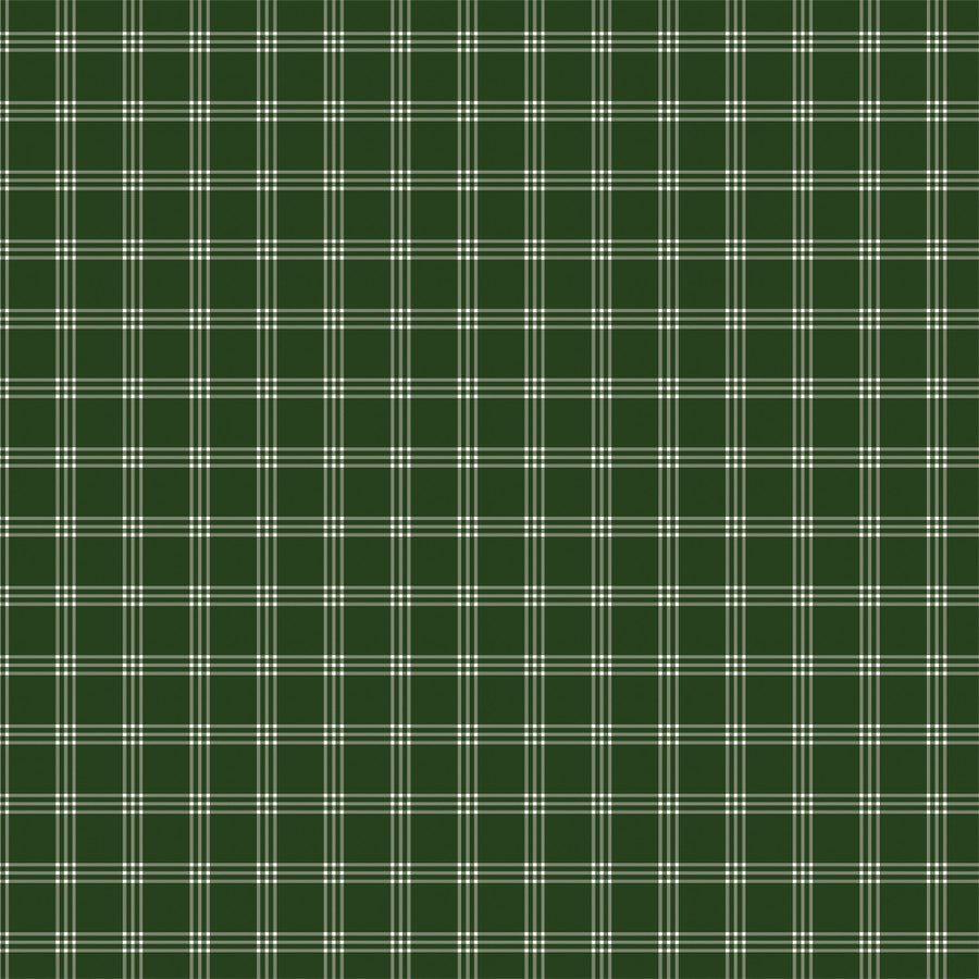 HOLLY BERRY - 12x12 Double-Sided Patterned Paper - Echo Park