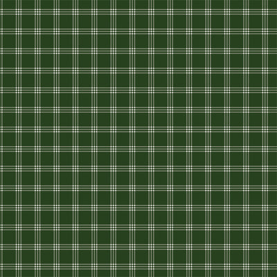 HOLLY BERRY - 12x12 Double-Sided Patterned Paper - Echo Park
