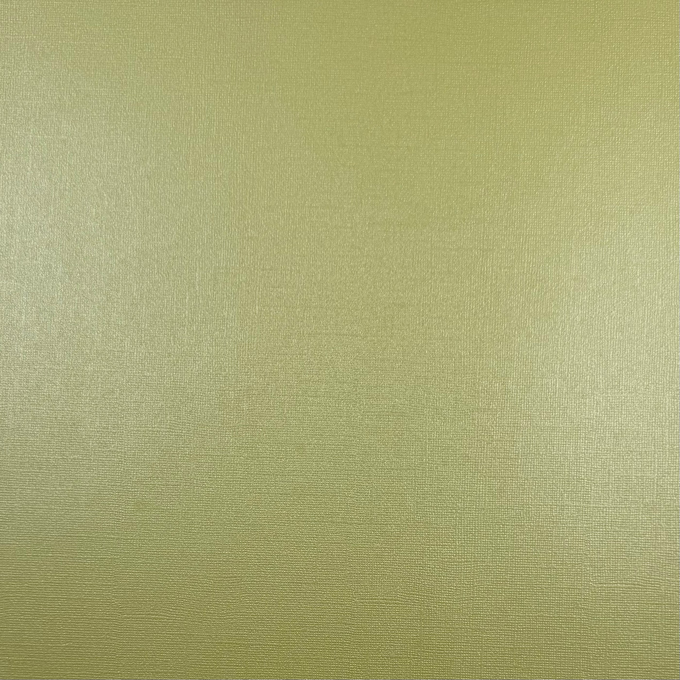 KIWI - Shimmery Textured 12x12 Cardstock - Encore Paper
