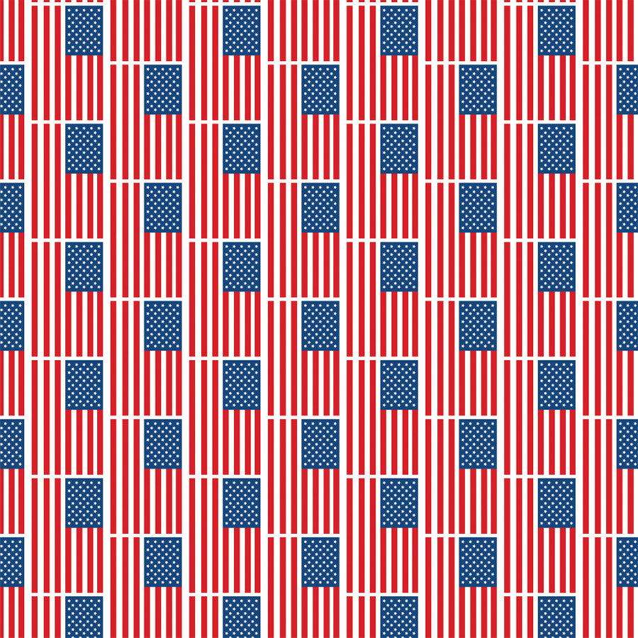 LET FREEDOM RING JOURNALING CARDS - 12x12 Double-Sided Patterned Paper - Echo Park