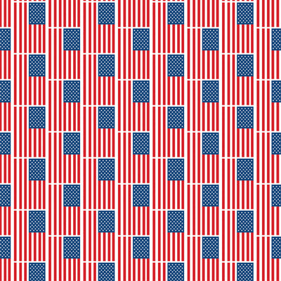 LET FREEDOM RING JOURNALING CARDS - 12x12 Double-Sided Patterned Paper - Echo Park