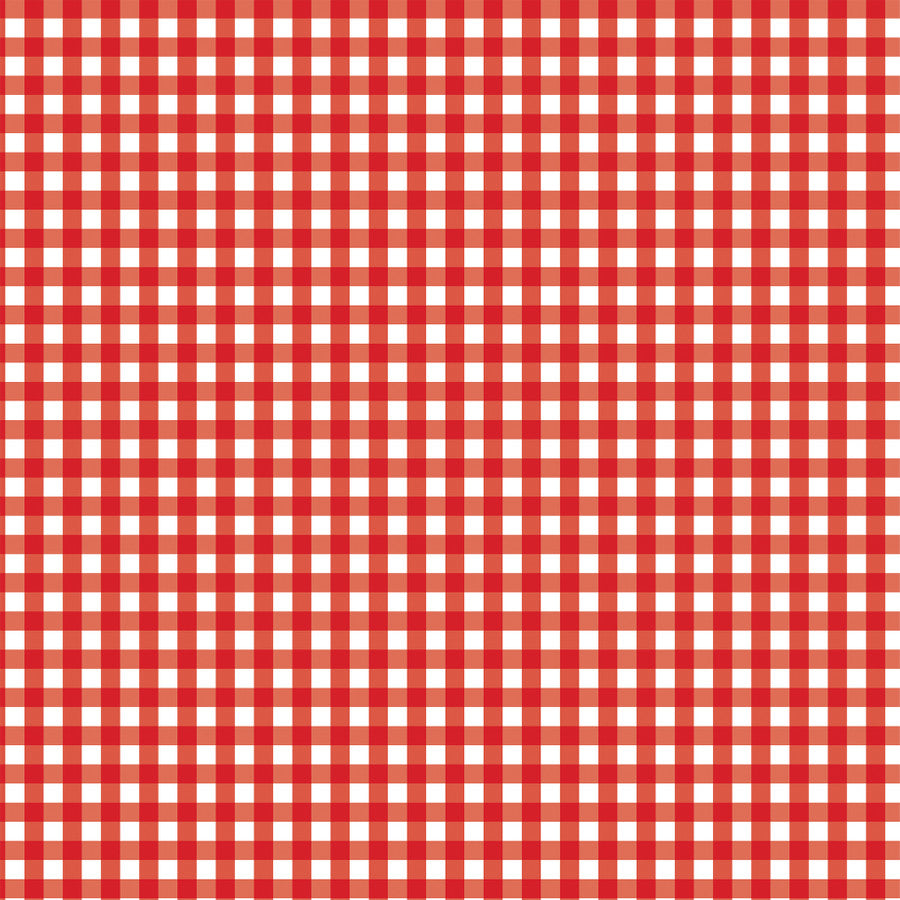 PICNIC PLAID - 12x12 Double-Sided Patterned Paper - Echo Park