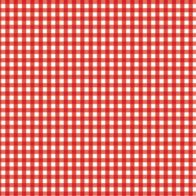 PICNIC PLAID - 12x12 Double-Sided Patterned Paper - Echo Park