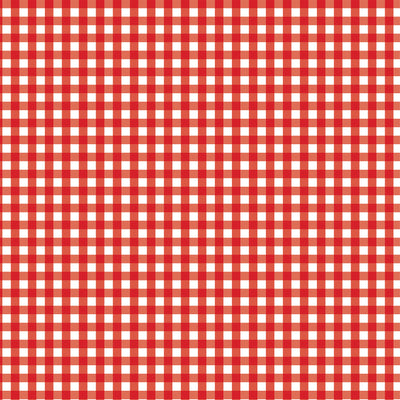 PICNIC PLAID - 12x12 Double-Sided Patterned Paper - Echo Park