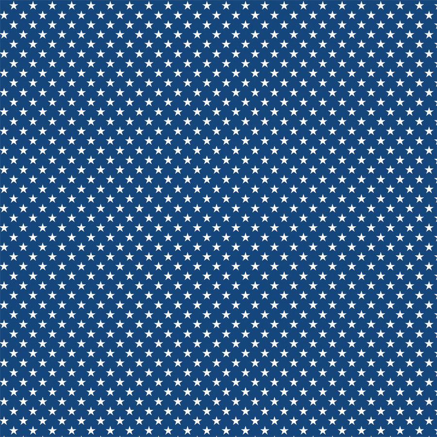 PICNIC PLAID - 12x12 Double-Sided Patterned Paper - Echo Park