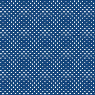 PICNIC PLAID - 12x12 Double-Sided Patterned Paper - Echo Park