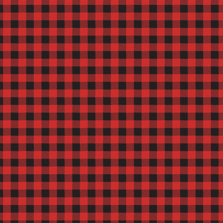 WILD PLAID - 12x12 Double-Sided Patterned Paper - Echo Park