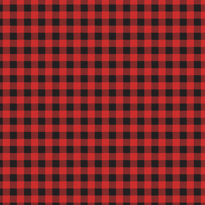 WILD PLAID - 12x12 Double-Sided Patterned Paper - Echo Park