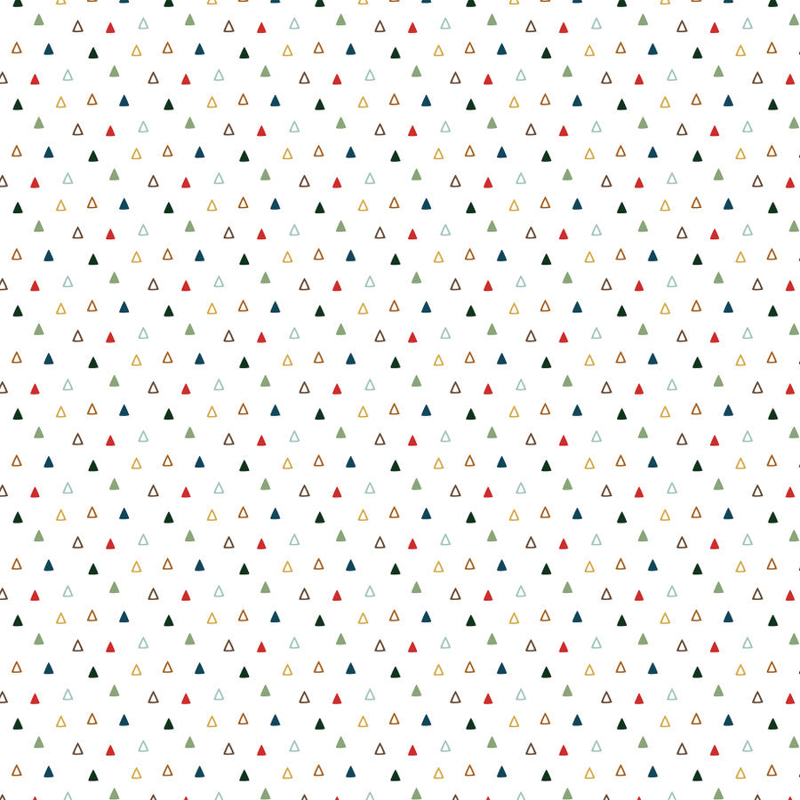 WILD PLAID - 12x12 Double-Sided Patterned Paper - Echo Park