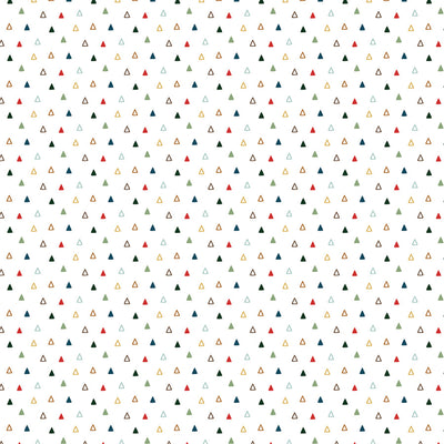 WILD PLAID - 12x12 Double-Sided Patterned Paper - Echo Park