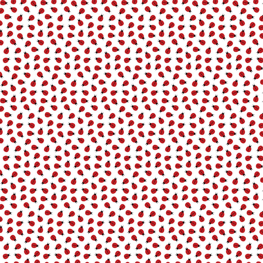 LITTLE LADYBUG - 12x12 Double-Sided Patterned Paper - Echo Park