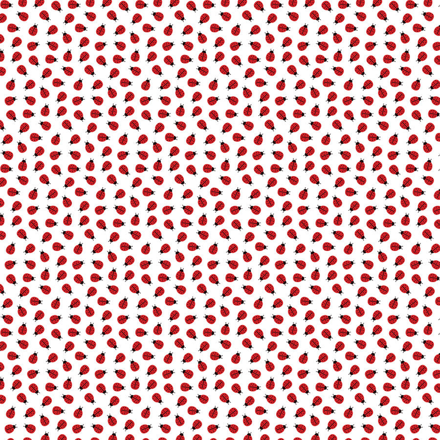 LITTLE LADYBUG - 12x12 Double-Sided Patterned Paper - Echo Park