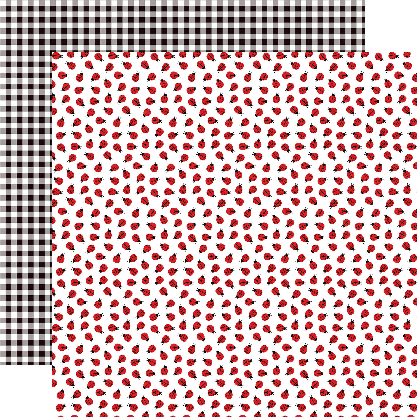 12x12 double-sided patterned paper. (Side A - red ladybugs all over on a white background; Side B - black and white gingham)