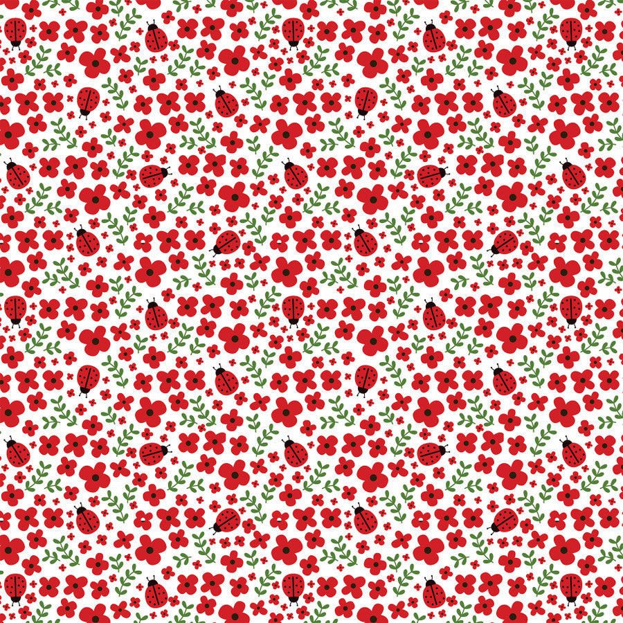 LADYBUG HUGS - 12x12 Double-Sided Patterned Paper - Echo Park