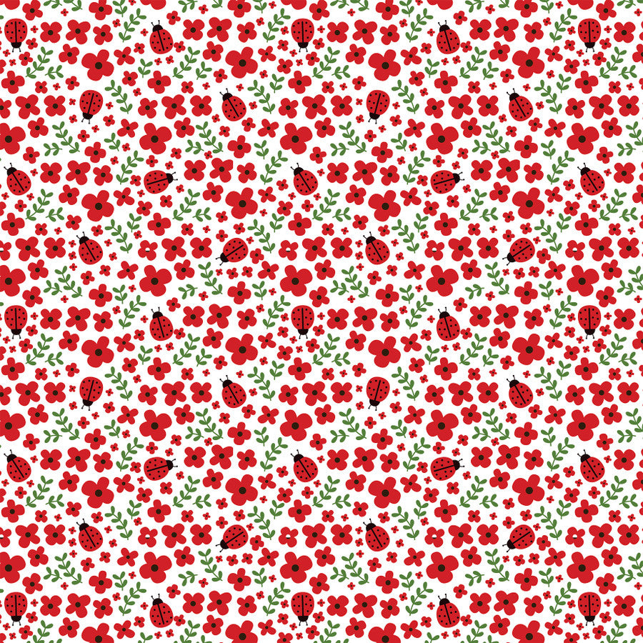 LADYBUG HUGS - 12x12 Double-Sided Patterned Paper - Echo Park