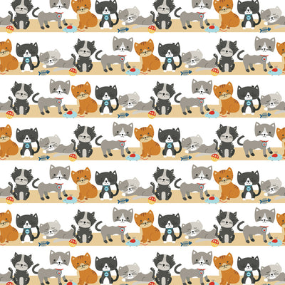 PURRFECT DAY - 12x12 Double-Sided Patterned Paper - Echo Park