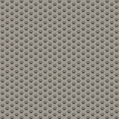 PURRFECT DAY - 12x12 Double-Sided Patterned Paper - Echo Park