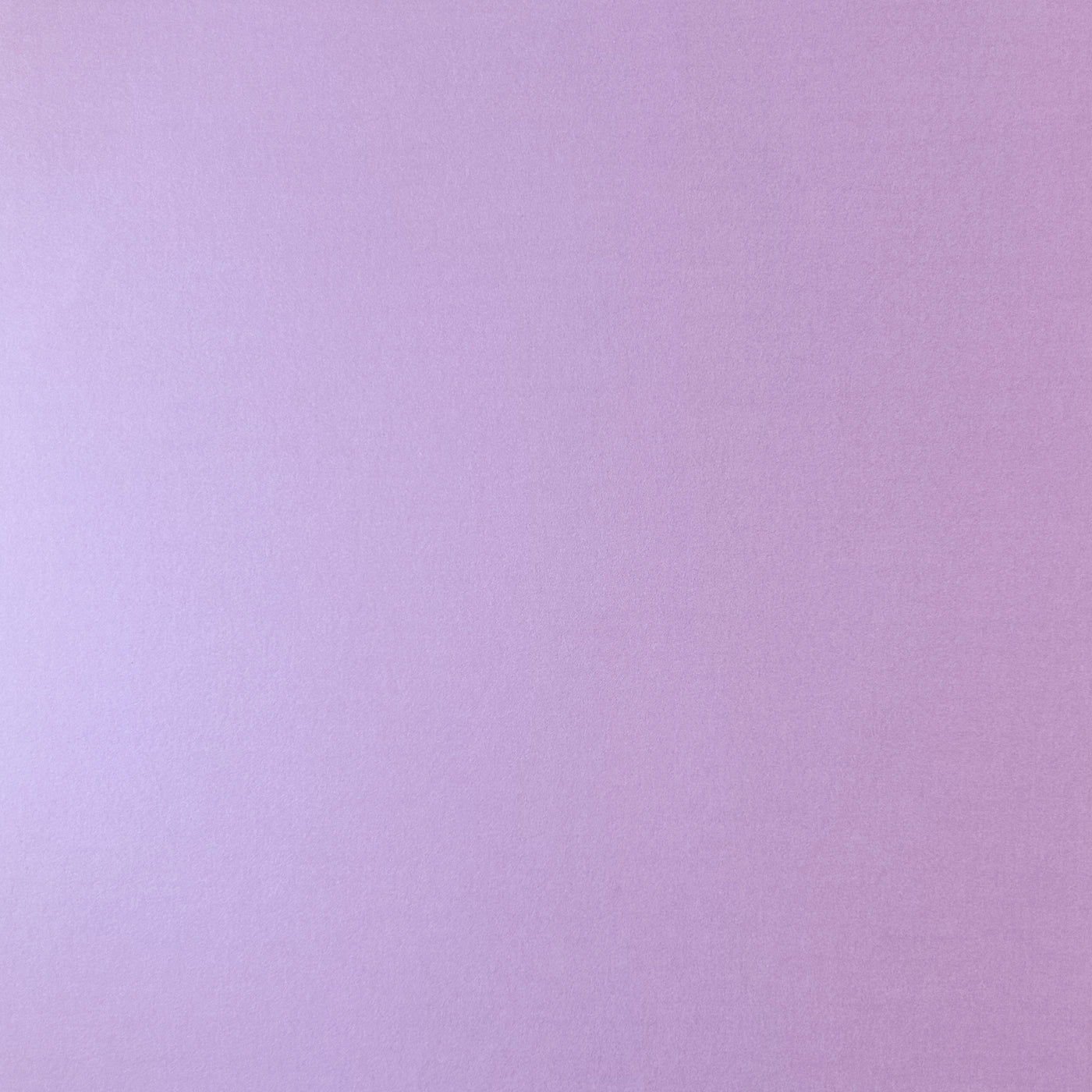 LILAC LACE - Smooth 12x12 Cardstock - Encore Paper