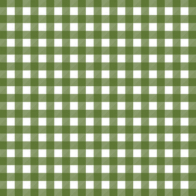WHITE WINTER - 12x12 Double-Sided Patterned Paper - Echo Park