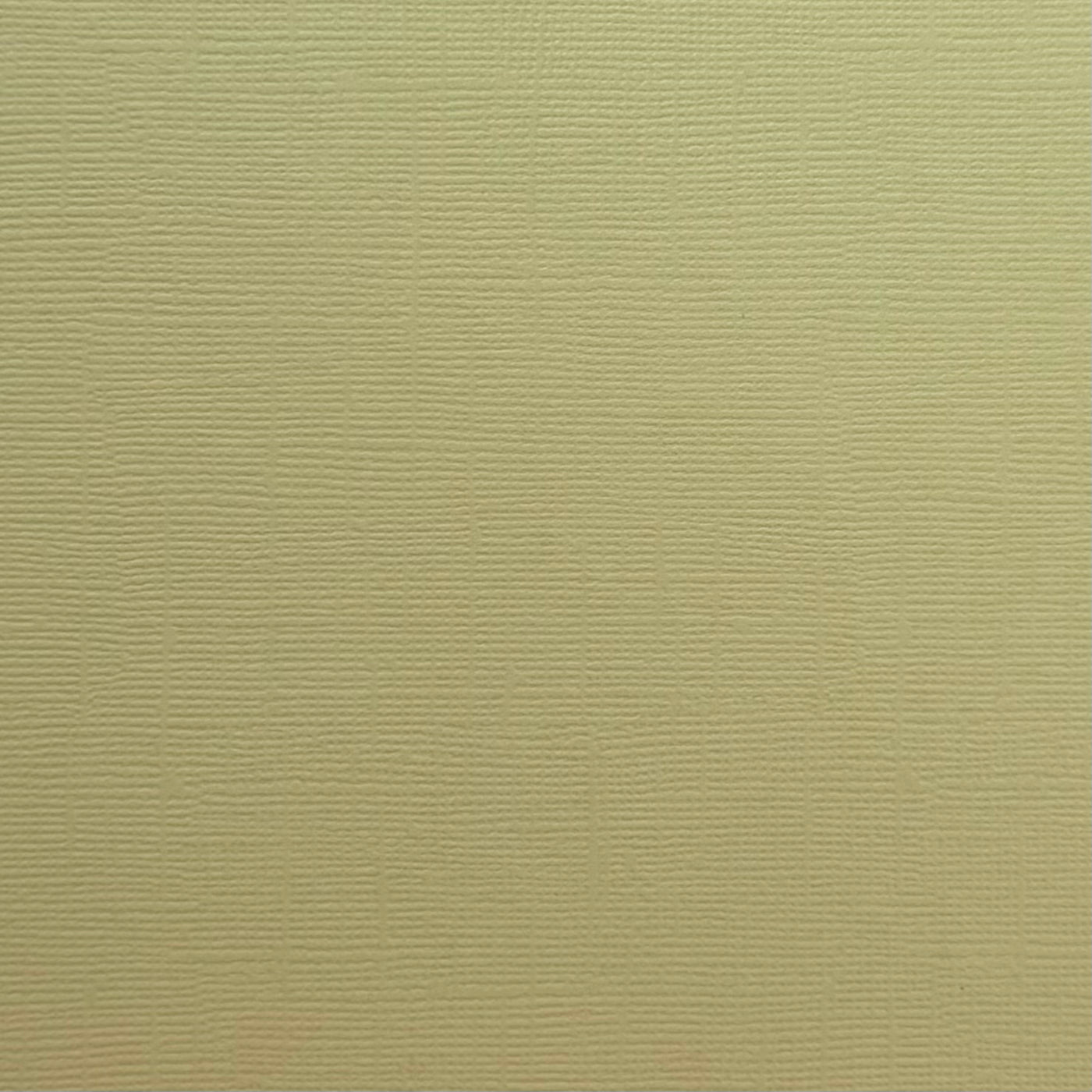 MINT - Textured Pale Green 12x12 Cardstock - Encore Paper