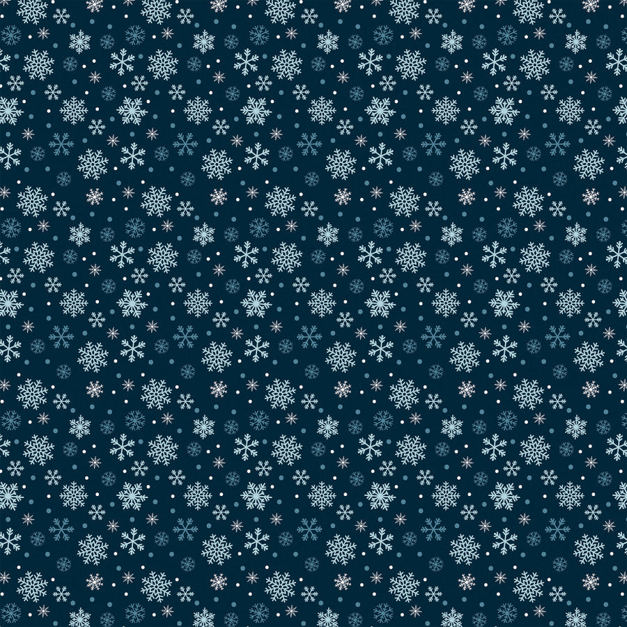 WINTER SNOW - 12x12 Double-Sided Patterned Paper - Echo Park