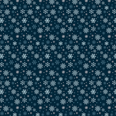 WINTER SNOW - 12x12 Double-Sided Patterned Paper - Echo Park