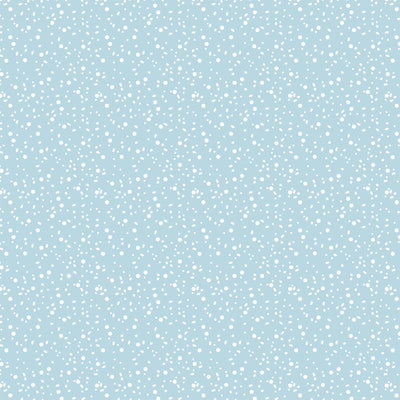 WINTER SNOW - 12x12 Double-Sided Patterned Paper - Echo Park