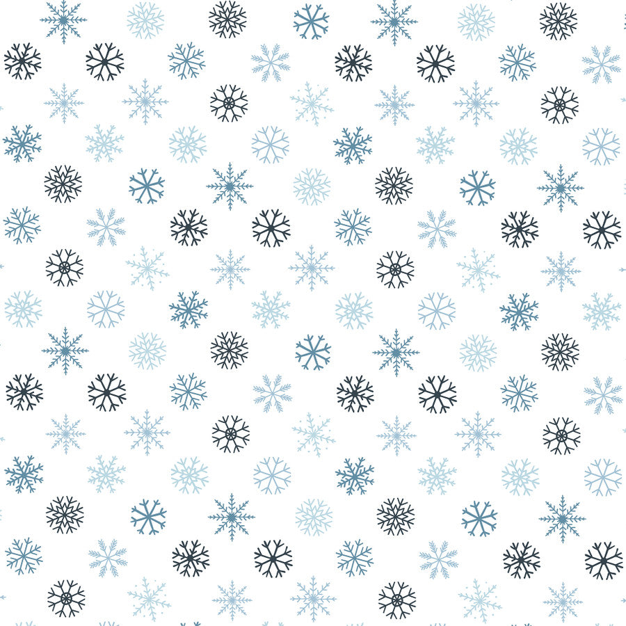 WINTER GARDEN - 12x12 Double-Sided Patterned Paper - Echo Park