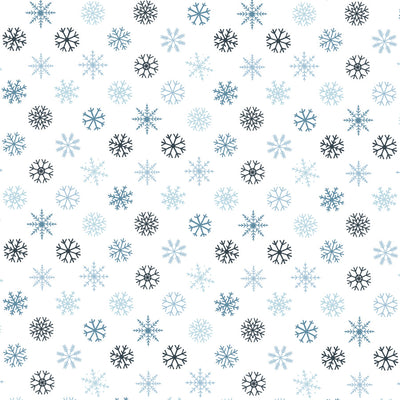 WINTER GARDEN - 12x12 Double-Sided Patterned Paper - Echo Park