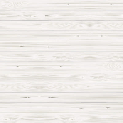 WINDY WINTER DAYS - 12x12 Double-Sided Patterned Paper - Echo Park