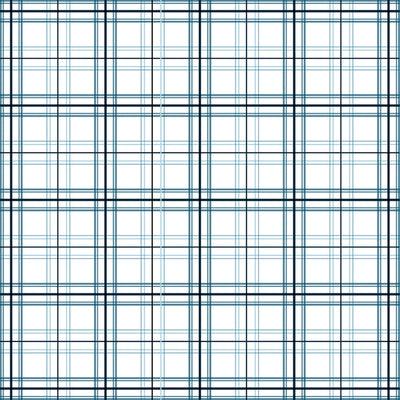 COLD PLAID - 12x12 Double-Sided Patterned Paper - Echo Park