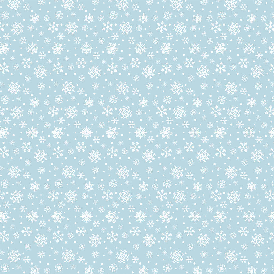 PLAYFUL PENGUIN - 12x12 Double-Sided Patterned Paper - Echo Park