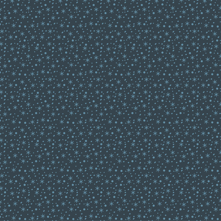SNOWY DAYS - 12x12 Double-Sided Patterned Paper - Echo Park