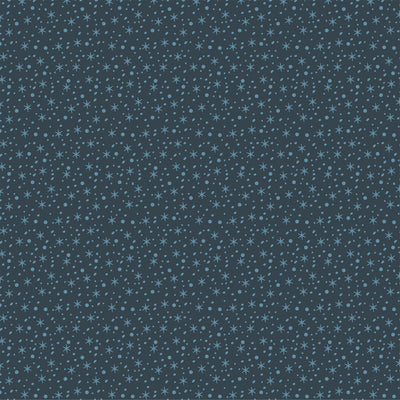 SNOWY DAYS - 12x12 Double-Sided Patterned Paper - Echo Park