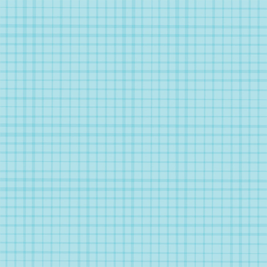 IT'S YOUR DAY BANNERS - 12x12 Double-Sided Patterned Paper - Echo Park