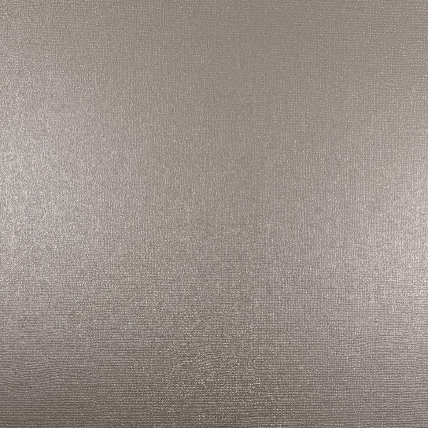 MERCURY - Shimmery Textured 12x12 Cardstock - Encore Paper