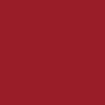 My Colors Classic Cherry Red Cardstock