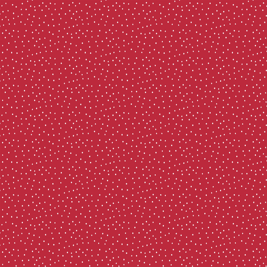 TRAFFIC - 12x12 Double-Sided Patterned Paper - Echo Park