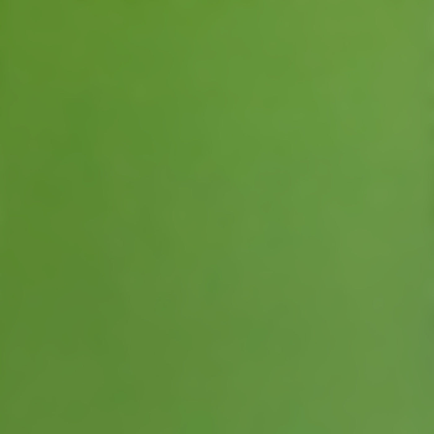 PARSLEY 12x12 Smooth Green Cardstock - Encore Paper – The 12x12 ...