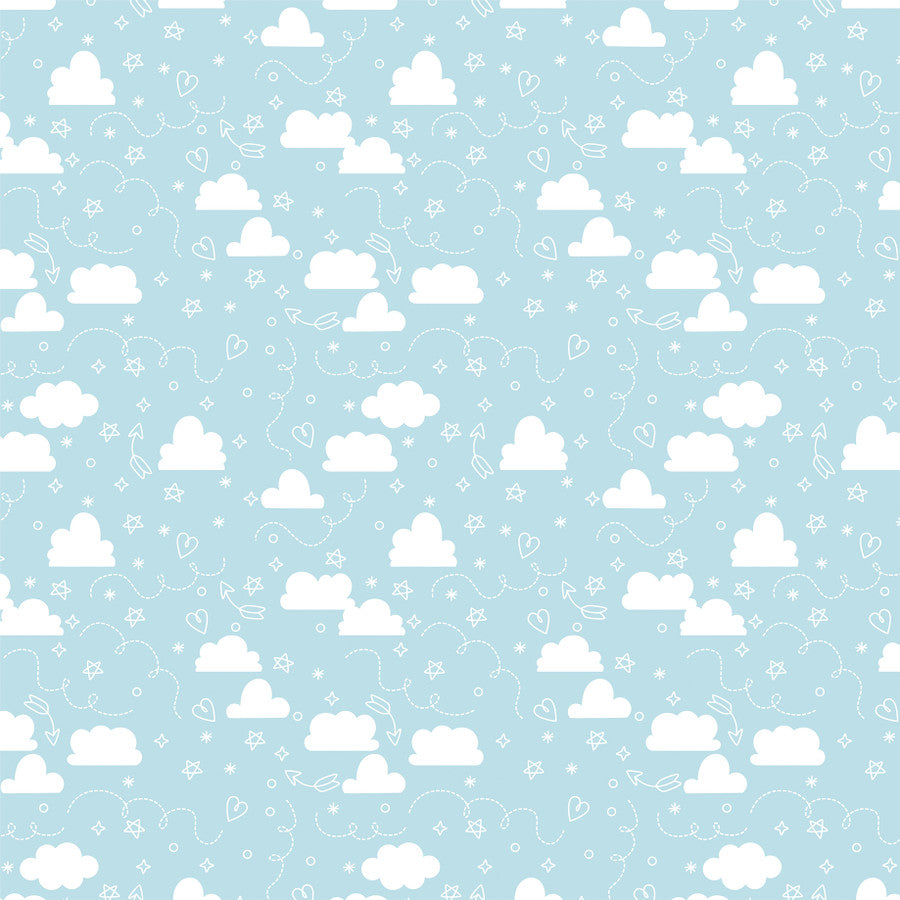 PET PLAID - 12x12 Double-Sided Patterned Paper - Echo Park