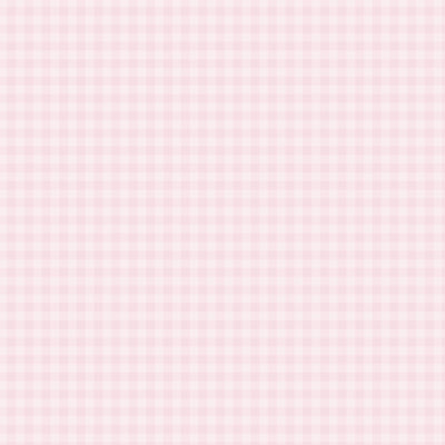 PASTEL GINGHAM POWDER PINK - 12x12 Double-Sided Patterned Paper - Echo Park