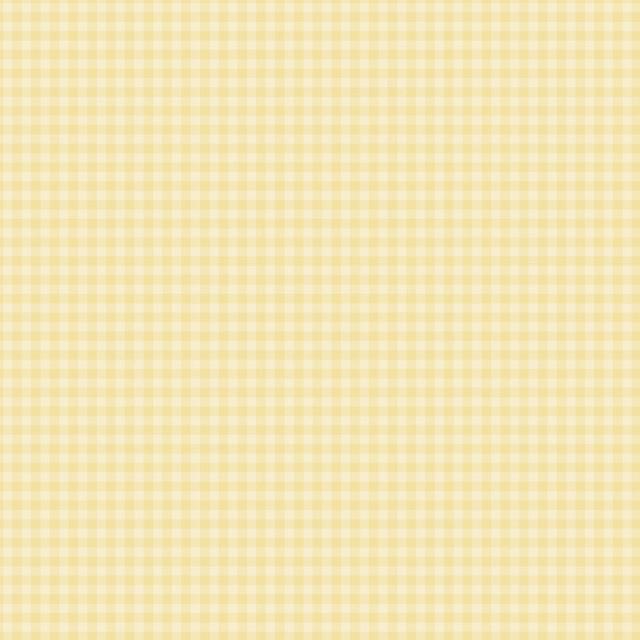 12x12 double-sided patterned paper. Side A - pastel yellow-colored gingham pattern, Side B - pastel yellow gingham with a smaller design set. Archival quality.
