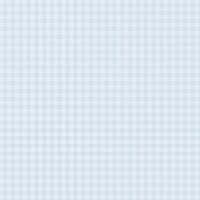 PASTEL GINGHAM POWDER BLUE - 12x12 Double-Sided Patterned Paper - Echo Park