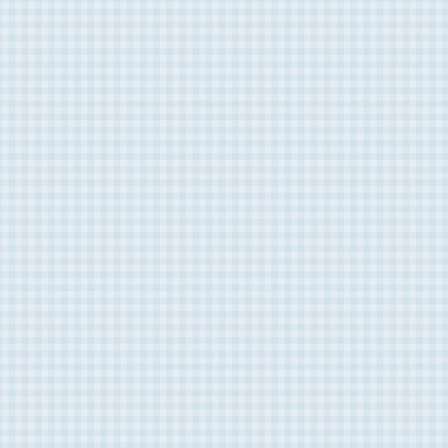 12x12 double-sided patterned paper. Side A - powder blue-colored gingham pattern, Side B - powder blue gingham with a smaller design set. Archival quality