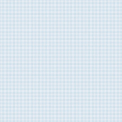 12x12 double-sided patterned paper. Side A - powder blue-colored gingham pattern, Side B - powder blue gingham with a smaller design set. Archival quality