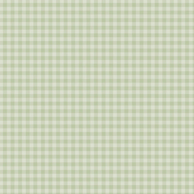 PASTEL GINGHAM SAGE GREEN - 12x12 Double-Sided Patterned Paper - Echo Park