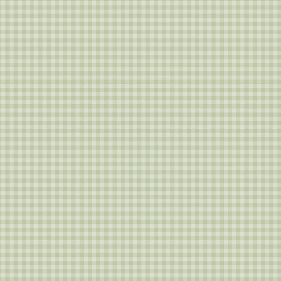 12x12 double-sided patterned paper. Side A - sage green-colored gingham pattern, Side B - sage green gingham with a smaller design set. Archival quality.