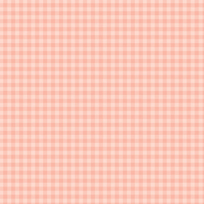 PASTEL GINGHAM SALMON - 12x12 Double-Sided Patterned Paper - Echo Park