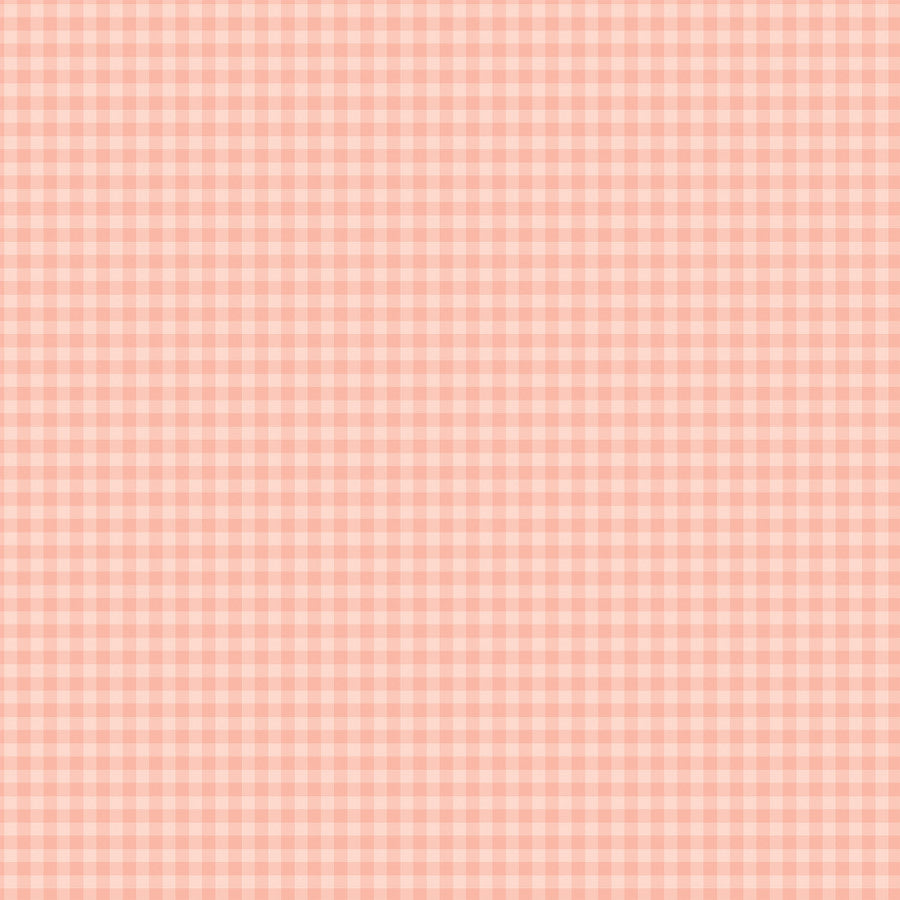 12x12 double-sided patterned paper. Side A - salmon-colored gingham pattern, Side B - salmon gingham with a smaller design set. Archival quality.